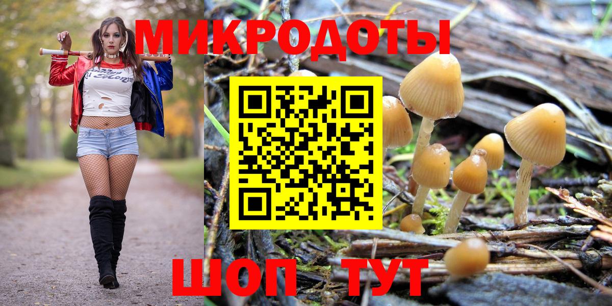 Чернушка  Псилоцибиновые грибы Magic Shrooms  Вход с VPN  Псилоцибиновые грибы GOLDEN TEACHER 