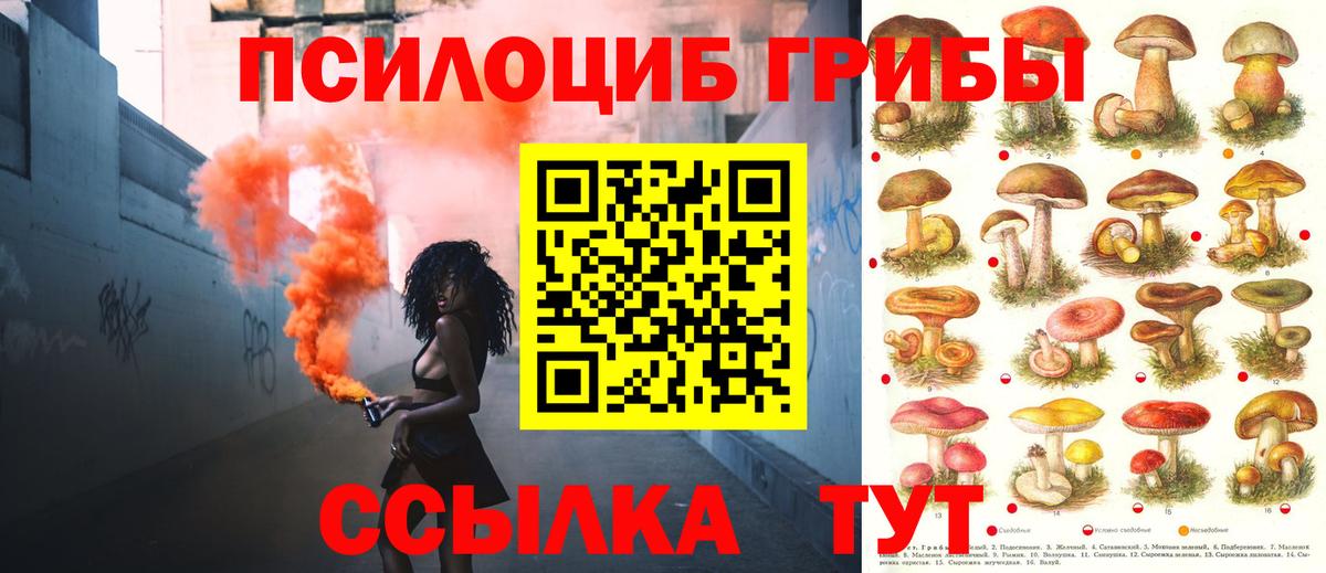 Галлюциногенные грибы ЛСД Чернушка